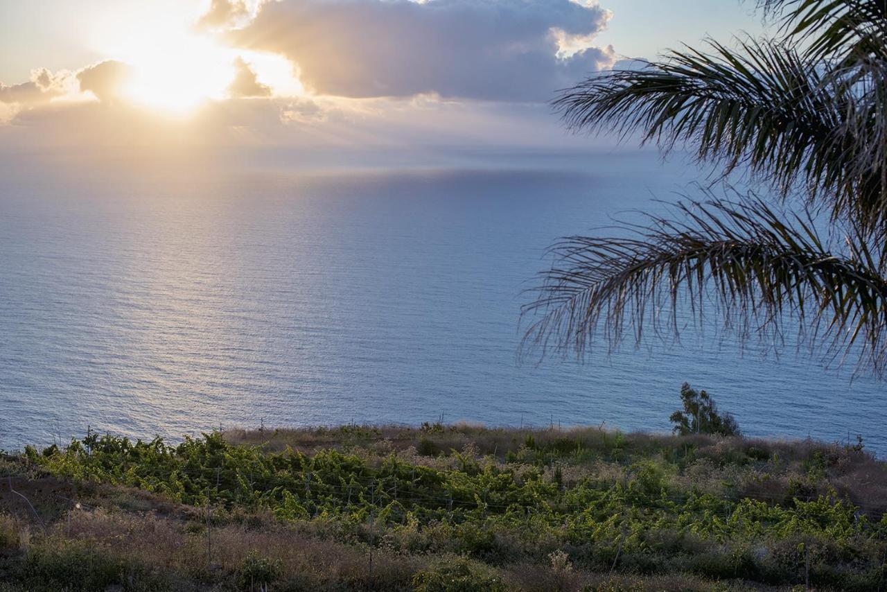 San Diego La Matanza De Acentejo Zewnętrze zdjęcie